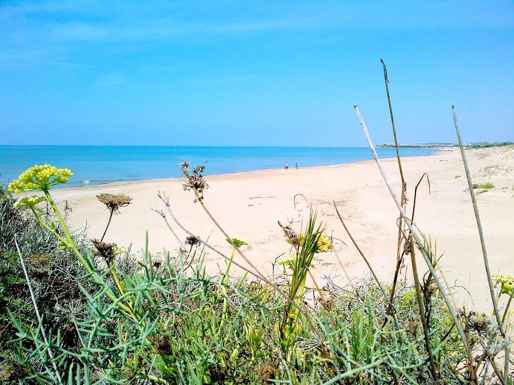 فيلا Cala Vigliena Il Sole Negli Occhi بونتا بروتْشّيتّو المظهر الخارجي الصورة